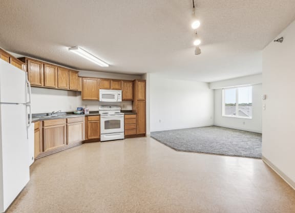 Open-concept apartment with a kitchen featuring wooden cabinetry, white appliances including a refrigerator, stove, microwave, and dishwasher, and beige vinyl flooring. The kitchen flows into a spacious carpeted living area with a large window allowing natural light