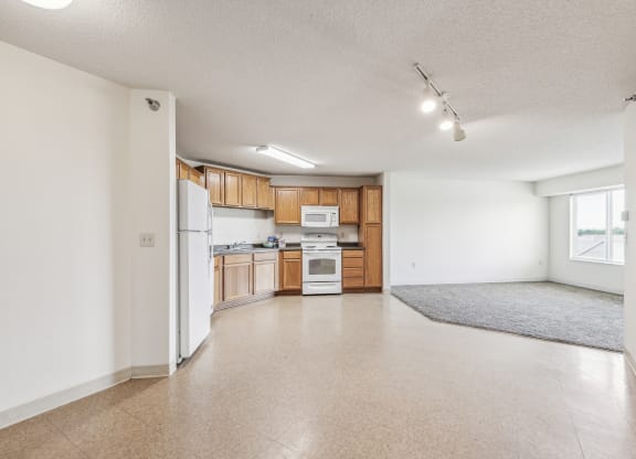 Open-concept apartment with a kitchen featuring wooden cabinetry, white appliances including a refrigerator, stove, microwave, and dishwasher, and beige vinyl flooring. The space extends into a carpeted living area with a large window allowing natural light