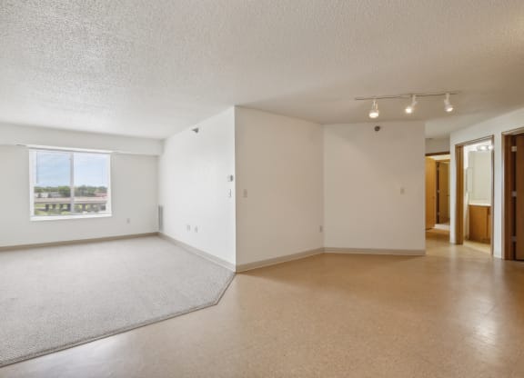Empty apartment living space with white walls, beige vinyl flooring, and a carpeted section near a large window allowing natural light. The open floor plan includes a hallway leading to multiple rooms and a bathroom, with modern track lighting on the ceiling