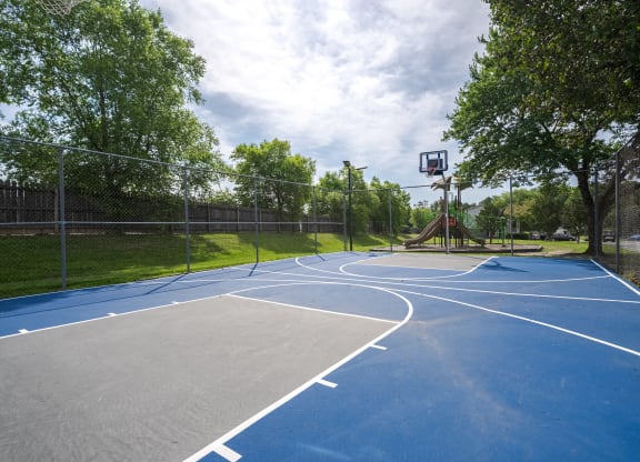 a basketball court in a park with trees