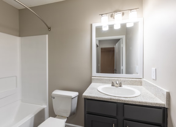 a bathroom with a sink and a toilet and a mirror