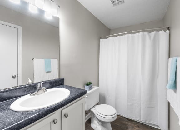 Modern apartment bathroom with a white vanity, black countertop, and a large mirror with bright overhead lighting. A toilet is positioned next to a bathtub with a white shower curtain, and neatly folded towels hang on towel racks. The space features light gray walls and dark wood-style flooring