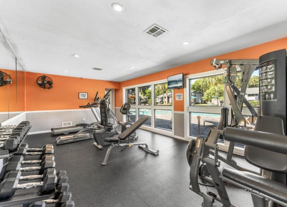 the gym at 1861 muleshoe road has cardio equipment and windows
