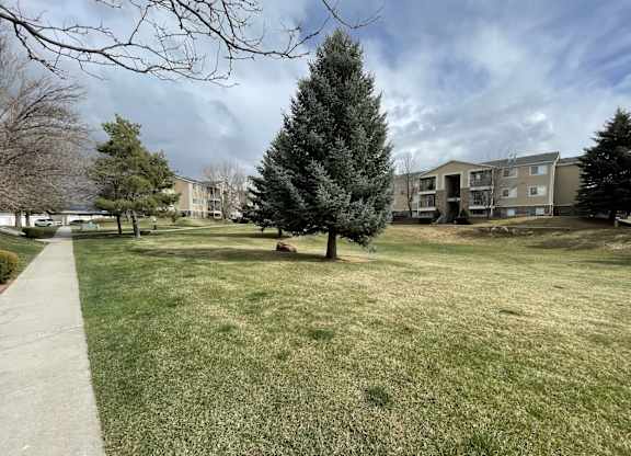 A grassy area with a tree and apartment buildings in the background.