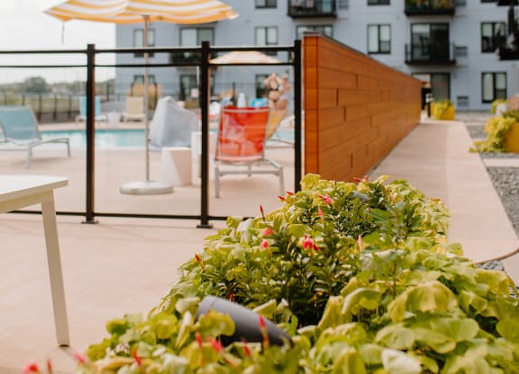 Poolside Area at Hello Apartments, Minneapolis