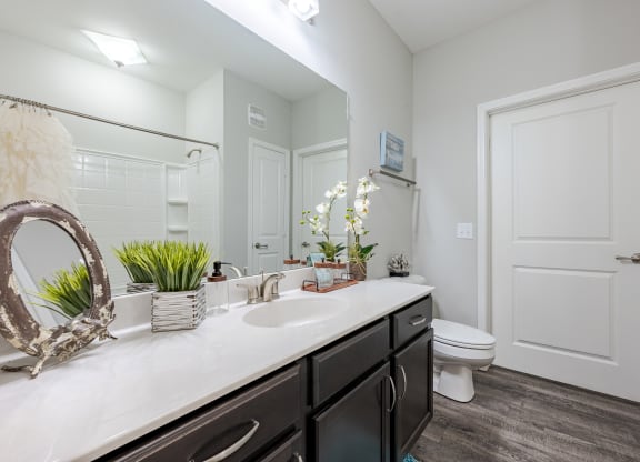 a bathroom with a sink and a toilet and a mirror