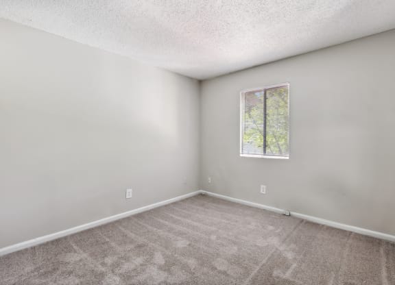 an empty room with carpet and a window