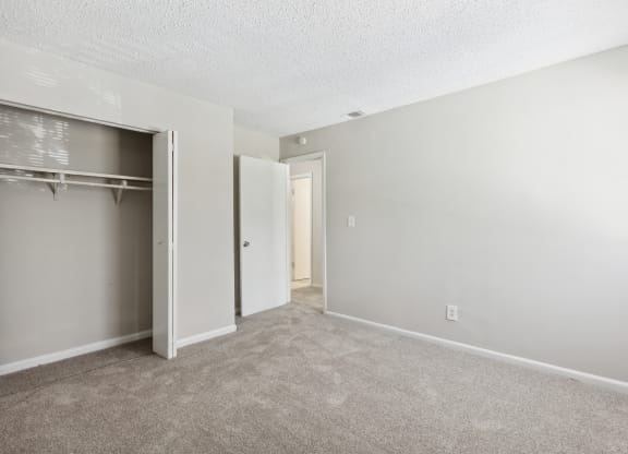 A room with a carpeted floor and a closet with a door open.