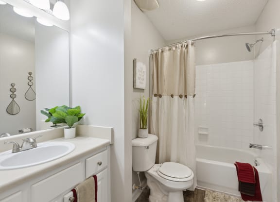 a bathroom with a shower toilet and sink and a mirror