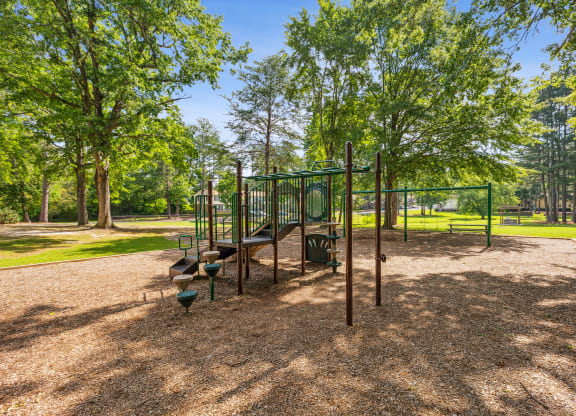 a playground with a slide and trees in a park
