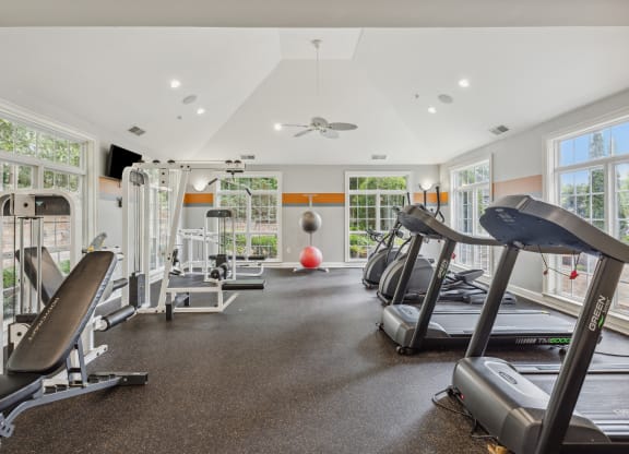 the gym at 1861 muleshoe road has cardio equipment and windows