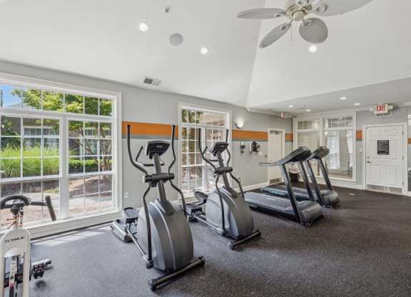 the gym at 1861 muleshoe road