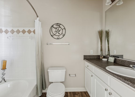 a bathroom with a shower toilet and sink and a bath tub