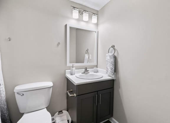 a bathroom with a sink and a toilet and a mirror