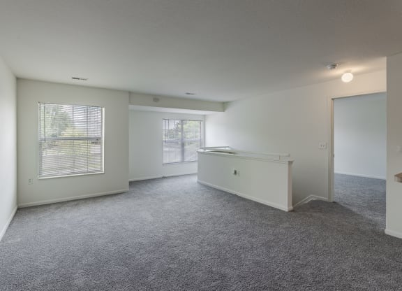 A spacious room with grey carpeting and white walls.