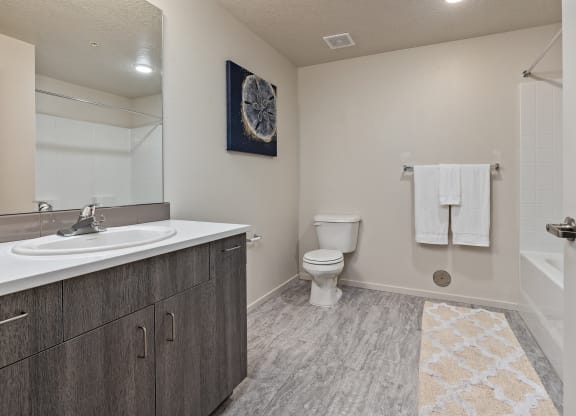 A bathroom with a toilet, sink, and a rug on the floor.
