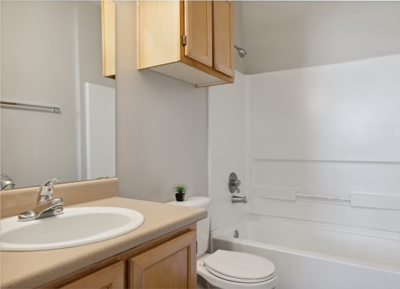 A white toilet sits next to a sink in a bathroom.