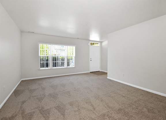 A room with a carpeted floor and a window with blinds.