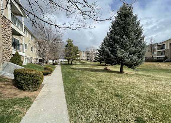 A grassy area with a tree and apartment buildings in the background.
