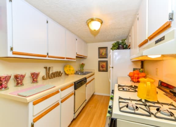 Model Kitchen at Stonetree, East Point, GA, 30344