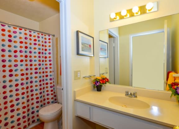 Model Bathroom  at Stonetree, East Point