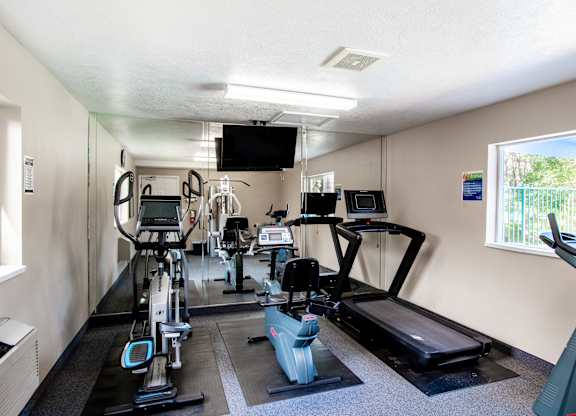 A gym with treadmills, exercise bikes, and other equipment.