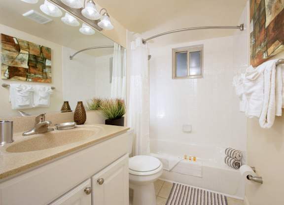 Spacious Bathroom at Cardiff Hall Apartments, Towson, Maryland