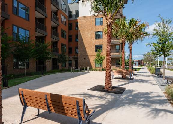 A sunny day at the park with benches and palm trees.