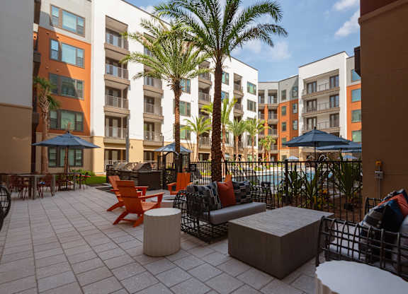 A patio with a palm tree and chairs.