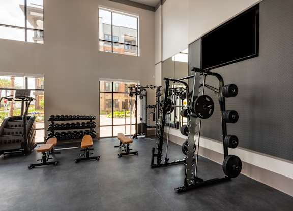 A gym with a variety of equipment including a squat rack, bench, and weights.