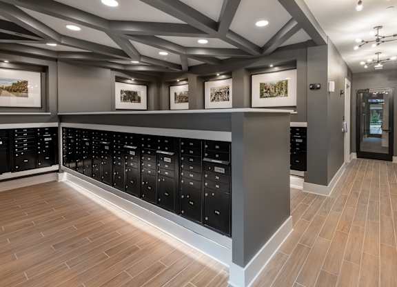 A modern kitchen with black cabinets and wooden floors.