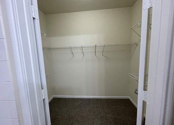 A white closet with a carpeted floor and white walls.