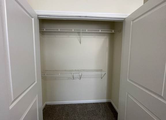 A white closet with a shelf and a carpeted floor.