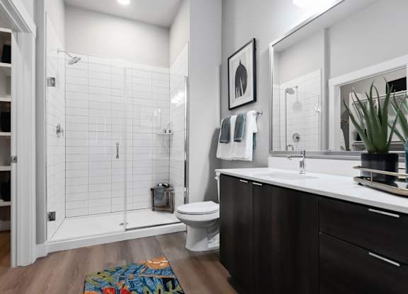 A bathroom with a walk-in shower and a toilet.