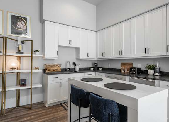 Apartment Kitchen at Tin Top at the Creamery