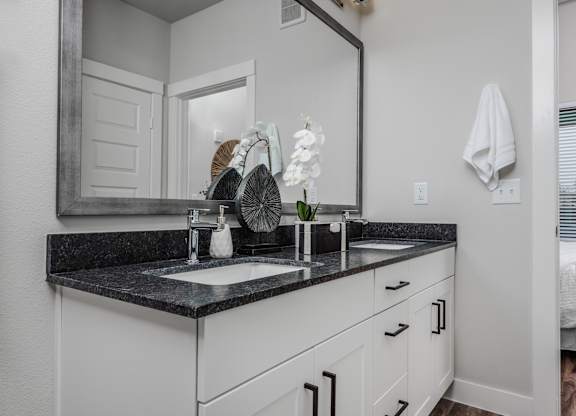 Apartment Bathroom at Tin Top at the Creamery Apartments
