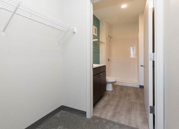 Spacious closet and laundry area
