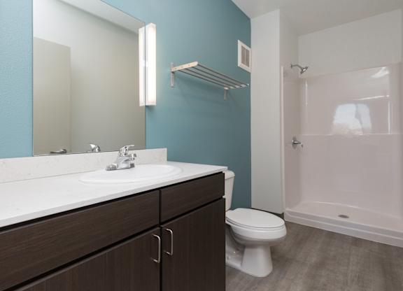 large bathroom with walk in shower