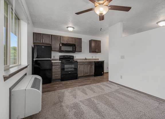 A kitchen with a black fridge, microwave, and oven.