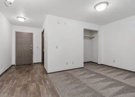 A room with a brown door and a grey carpet.