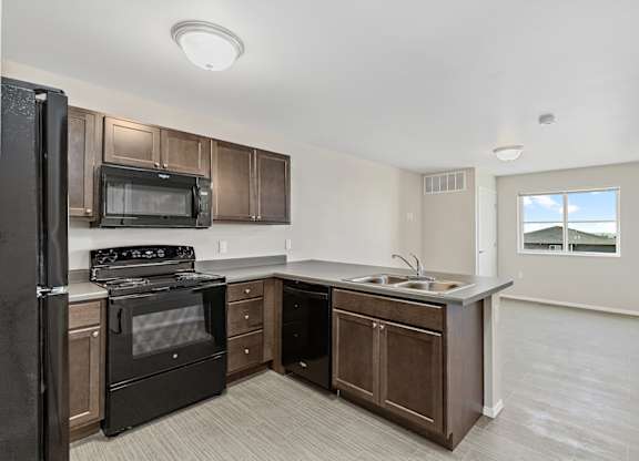 Kitchen with black appliances