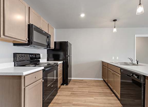 kitchen with black appliances