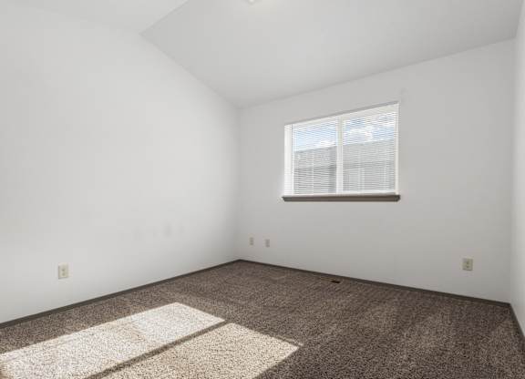 A room with a carpet and a window.