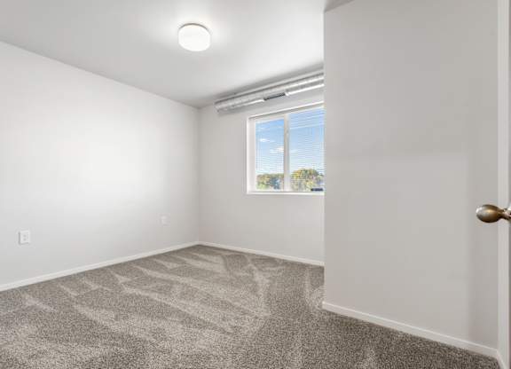 A room with a carpeted floor and a window showing a blue sky and trees outside.