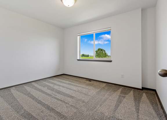 A room with a carpeted floor and a window showing a green tree and blue sky.
