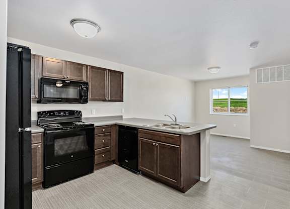Kitchen with black appliances