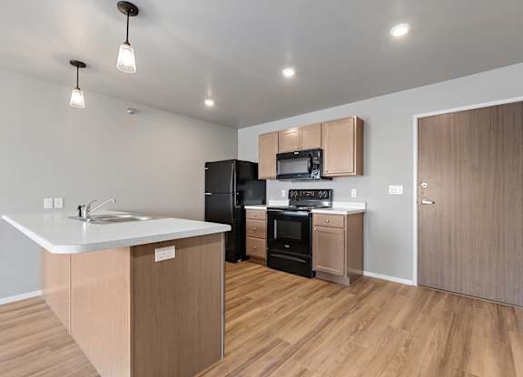 kitchen with black appliances