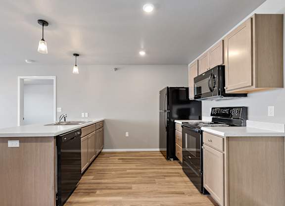 kitchen with black appliances
