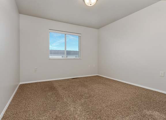 A room with a carpeted floor and a window.