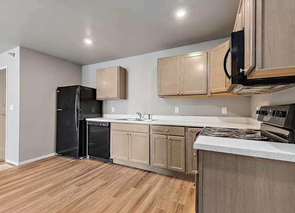 kitchen with black appliances